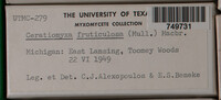 Image Associated With the Occurence